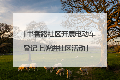 书香路社区开展电动车登记上牌进社区活动