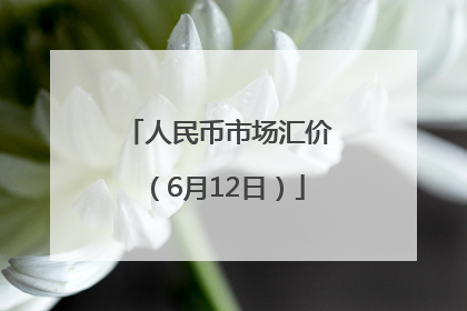 人民币市场汇价（6月12日）