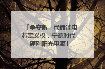 争夺新一代储能电芯定义权，宁德时代硬刚阳光电源