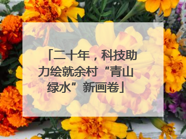 二十年，科技助力绘就余村“青山绿水”新画卷