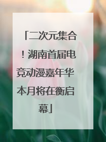 二次元集合！湖南首届电竞动漫嘉年华本月将在衡启幕