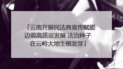 云南开展民法典宣传赋能边疆高质量发展 法治种子在云岭大地生根发芽