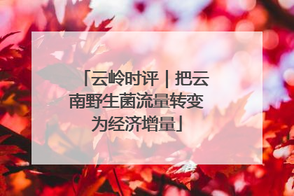云岭时评｜把云南野生菌流量转变为经济增量