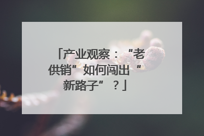 产业观察：“老供销”如何闯出“新路子”？