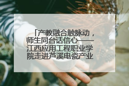 产教融合触脉动，师生同台话信心——江西应用工程职业学院走进芦溪电瓷产业园创新思政课堂