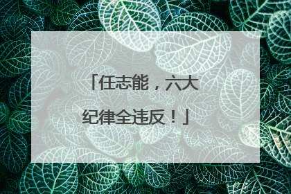 任志能，六大纪律全违反！
