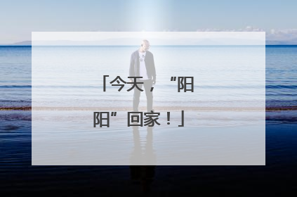 今天，“阳阳”回家！