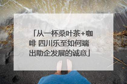 从一杯桑叶茶+咖啡 四川乐至如何端出助企发展的诚意
