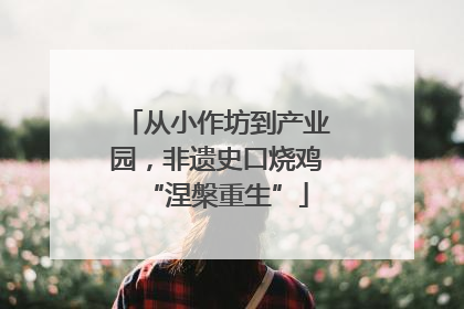 从小作坊到产业园，非遗史口烧鸡“涅槃重生”