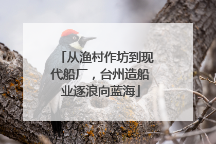 从渔村作坊到现代船厂，台州造船业逐浪向蓝海