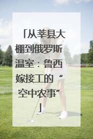 从莘县大棚到俄罗斯温室：鲁西嫁接工的“空中农事”