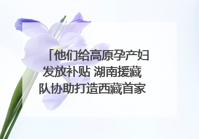 他们给高原孕产妇发放补贴 湖南援藏队协助打造西藏首家高原产儿协同中心