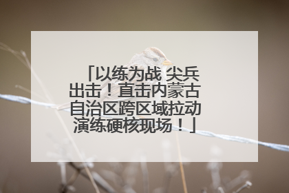 以练为战 尖兵出击！直击内蒙古自治区跨区域拉动演练硬核现场！
