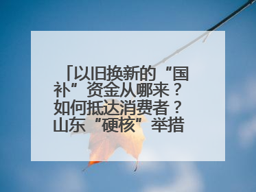 以旧换新的“国补”资金从哪来？如何抵达消费者？山东“硬核”举措有这些→