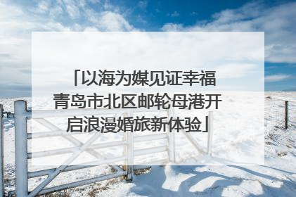 以海为媒见证幸福 青岛市北区邮轮母港开启浪漫婚旅新体验