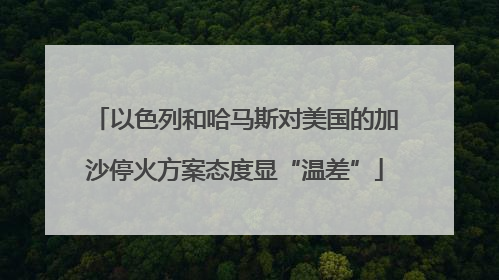以色列和哈马斯对美国的加沙停火方案态度显“温差”