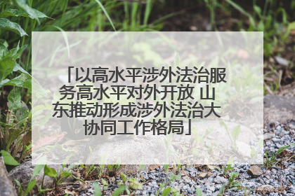以高水平涉外法治服务高水平对外开放 山东推动形成涉外法治大协同工作格局