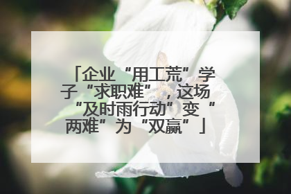 企业“用工荒”学子“求职难”，这场“及时雨行动”变“两难”为“双赢”