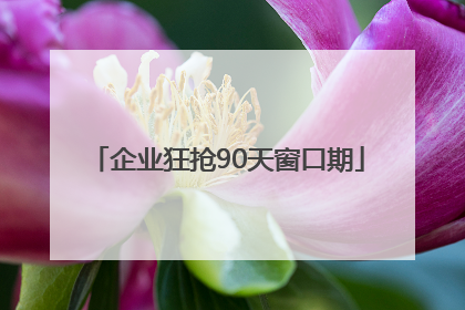 企业狂抢90天窗口期