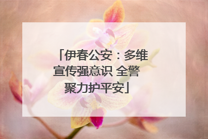 伊春公安：多维宣传强意识 全警聚力护平安
