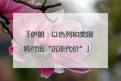 伊朗：以色列和美国将付出“沉重代价”