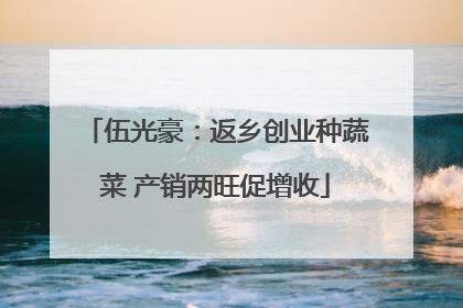 伍光豪：返乡创业种蔬菜 产销两旺促增收