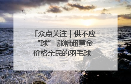 众点关注｜供不应“球” 涨幅超黄金 价格亲民的羽毛球为何身价飞涨？