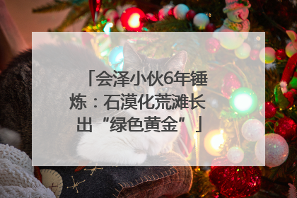 会泽小伙6年锤炼：石漠化荒滩长出“绿色黄金”