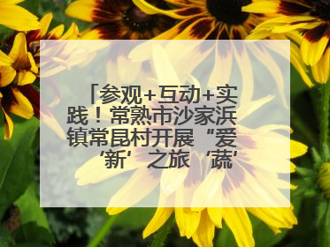 参观+互动+实践！常熟市沙家浜镇常昆村开展“爱‘新’之旅‘蔬’适生活”参观学习活动