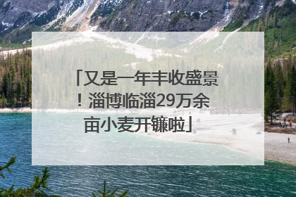 又是一年丰收盛景！淄博临淄29万余亩小麦开镰啦