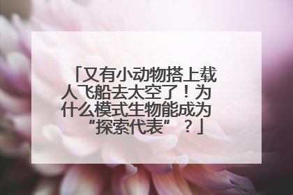 又有小动物搭上载人飞船去太空了！为什么模式生物能成为“探索代表”？