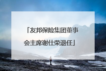 友邦保险集团董事会主席谢仕荣退任