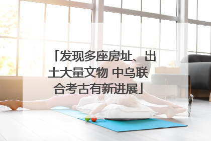 发现多座房址、出土大量文物 中乌联合考古有新进展