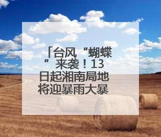 台风“蝴蝶”来袭！13日起湘南局地将迎暴雨大暴雨，省应急委办公室发布汛情提醒