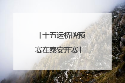 十五运桥牌预赛在泰安开赛