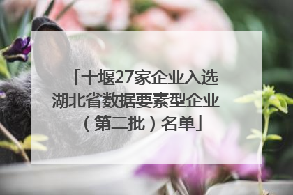十堰27家企业入选湖北省数据要素型企业（第二批）名单