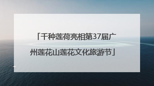 千种莲荷亮相第37届广州莲花山莲花文化旅游节