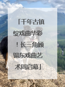 千年古镇绽戏曲华彩！长三角顾锡东戏曲艺术周启幕