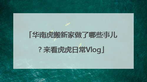 华南虎搬新家做了哪些事儿？来看虎虎日常Vlog