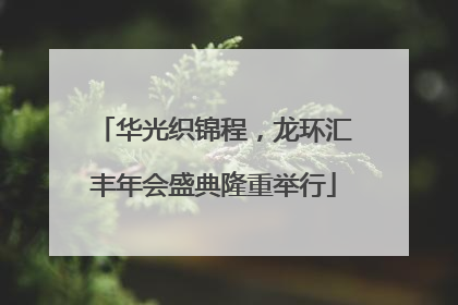 华光织锦程，龙环汇丰年会盛典隆重举行