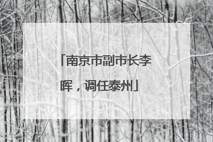 南京市副市长李晖，调任泰州