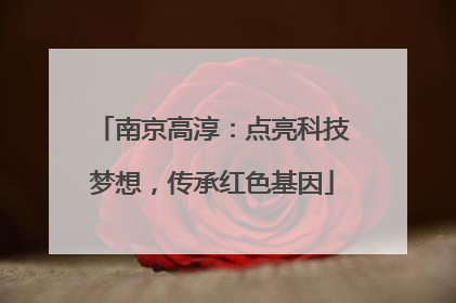 南京高淳：点亮科技梦想，传承红色基因