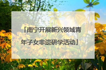 南宁开展新兴领域青年子女非遗研学活动
