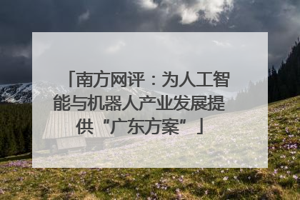 南方网评：为人工智能与机器人产业发展提供“广东方案”