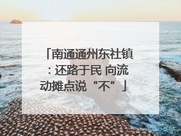 南通通州东社镇：还路于民 向流动摊点说“不”