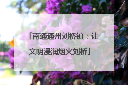 南通通州刘桥镇：让文明浸润烟火刘桥