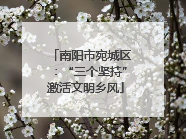 南阳市宛城区：“三个坚持”激活文明乡风