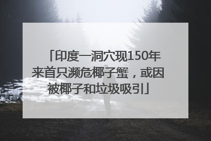 印度一洞穴现150年来首只濒危椰子蟹，或因被椰子和垃圾吸引