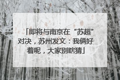 即将与南京在“苏超”对决，苏州发文：我俩好着呢，大家别瞎猜
