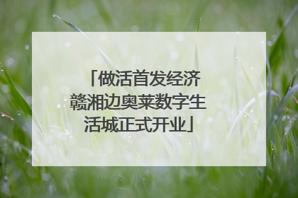 做活首发经济 赣湘边奥莱数字生活城正式开业